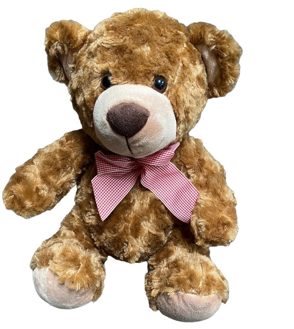 burton+Burton brown soft brown teddy bear 11”